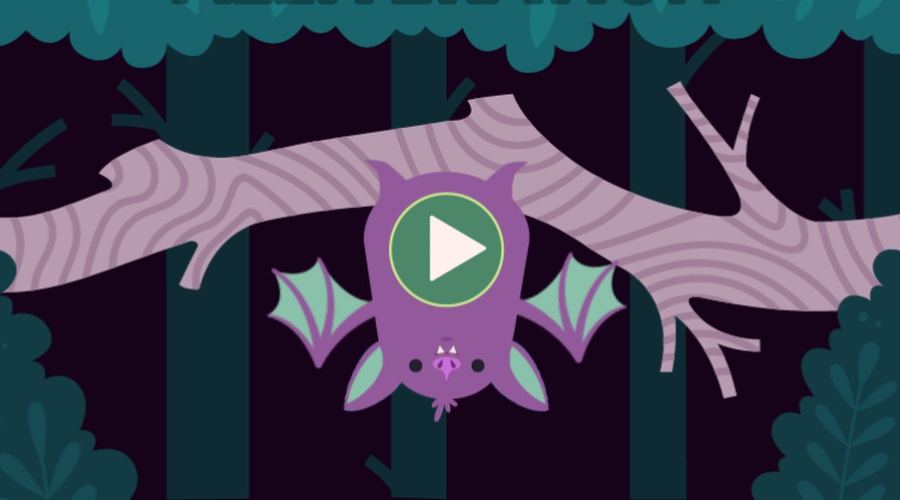 Bat hanging upside down from a branch