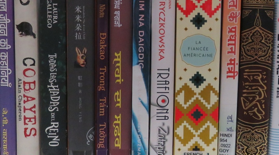 Books in a variety of languages sitting together on a shelf