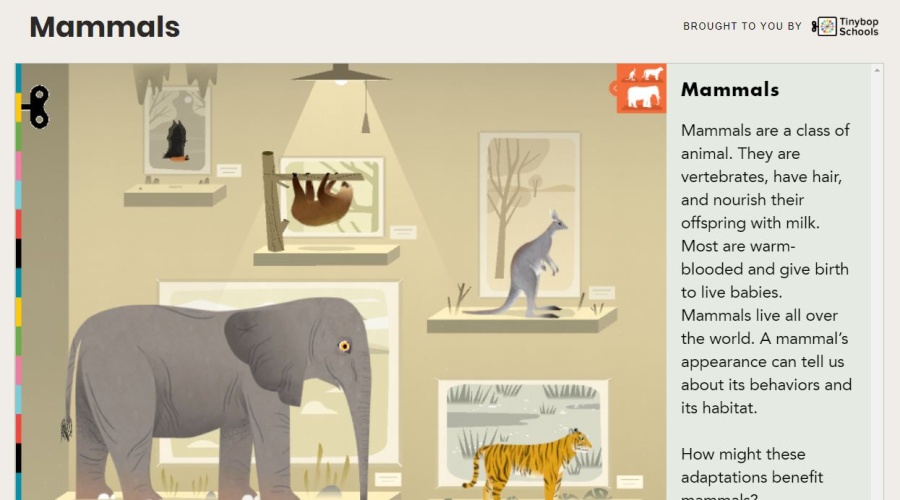 Elephant