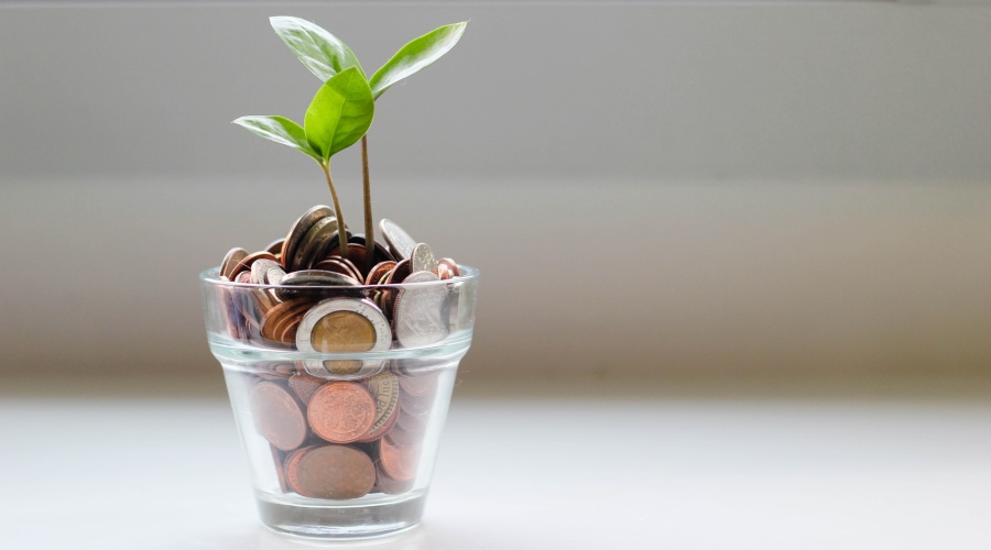 A plant sprouting out of a glass full of coins