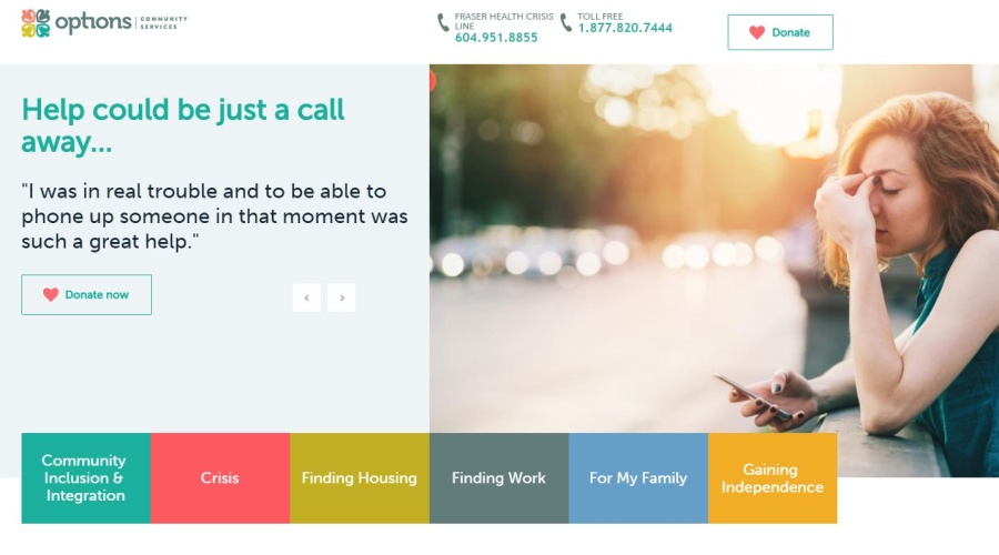 Screenshot of Option's website