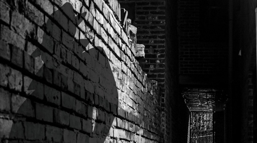 Shadow of a detective in a dark alley