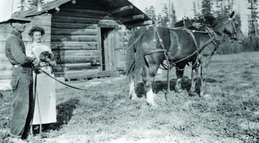Man, woman and work horse standing in front of a small log cabin. Appears to be the 1910's and the land is freshly cleared.